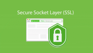 Foxy Digits Website Security What You Should Know